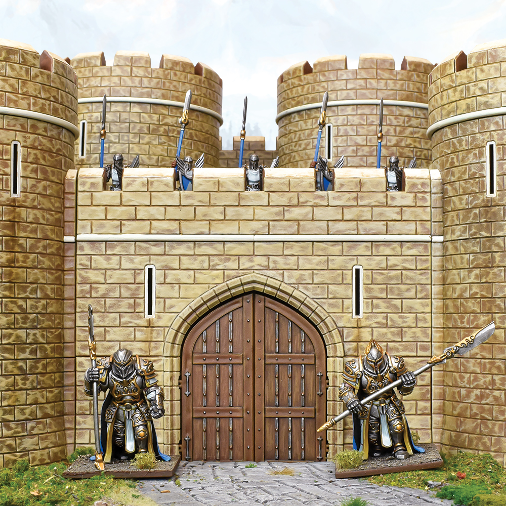 Basilean Ogre Palace Guard Regiment 3