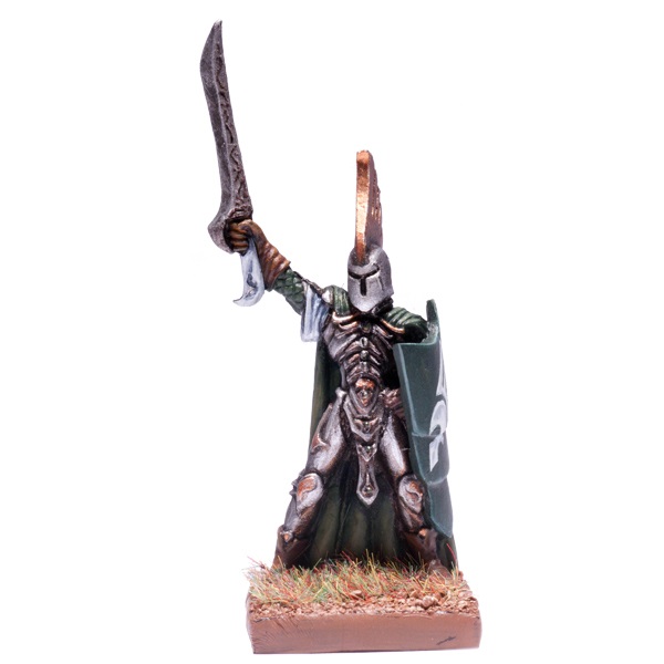 Elf Palace Guard Prince 1