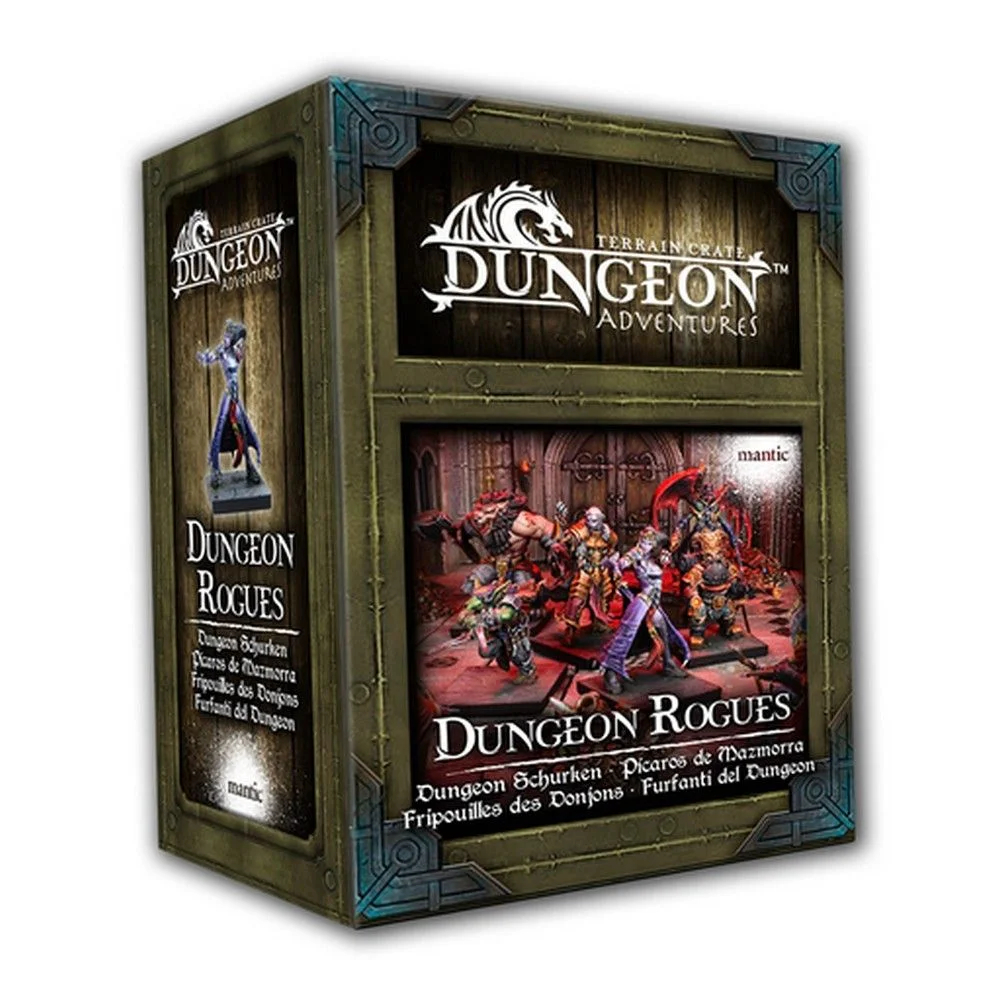 Dungeon Adventures: Dungeon Rogues 1