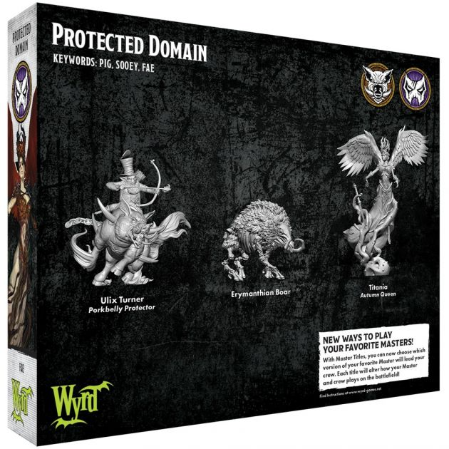 Protected Domain 2
