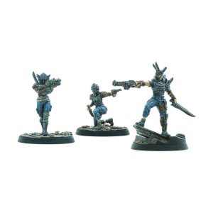 Fallout: Wasteland Warfare - Raiders - Disciples Leaders 1