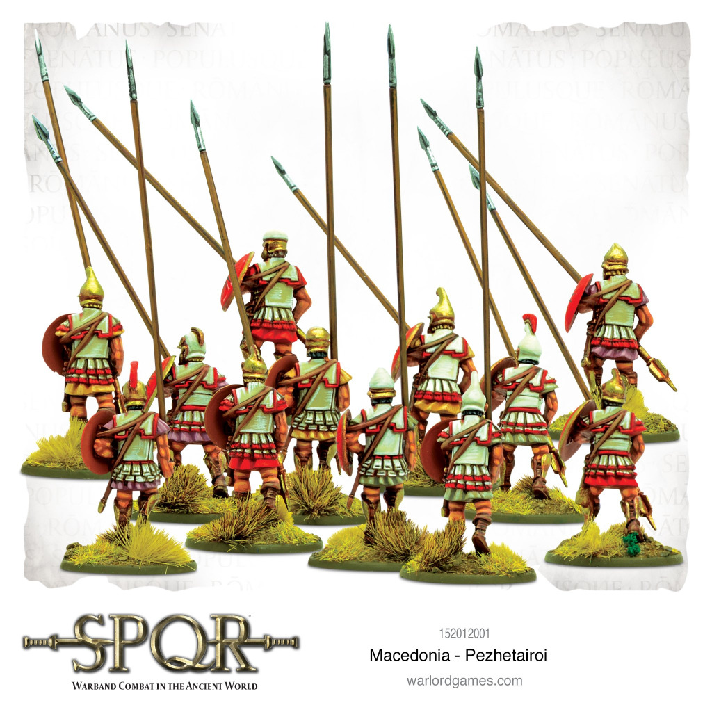 SPQR: Macedonian Pezhetairoi 3