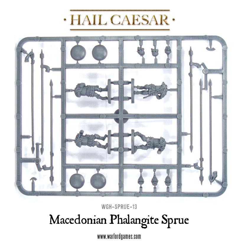 Macedonian Phalangites 5