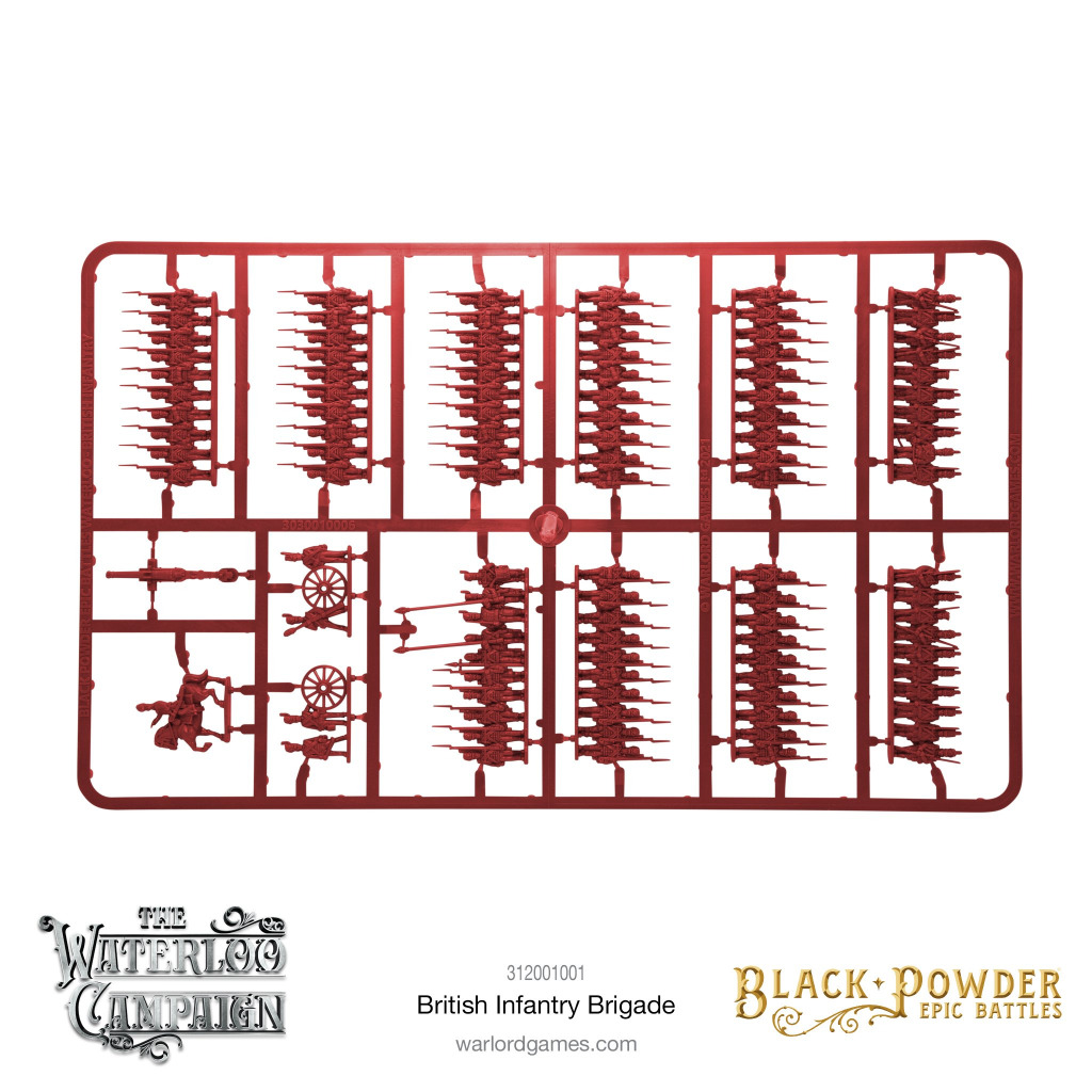 Epic Black Powder - Waterloo British Infantry Brigade 4