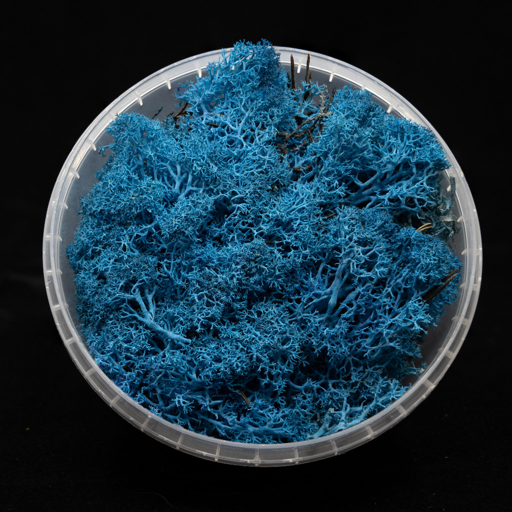 Coral Blue Hedge Basing Material 1