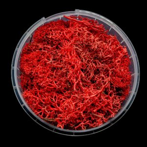Bleeding Hedge Basing Material 1