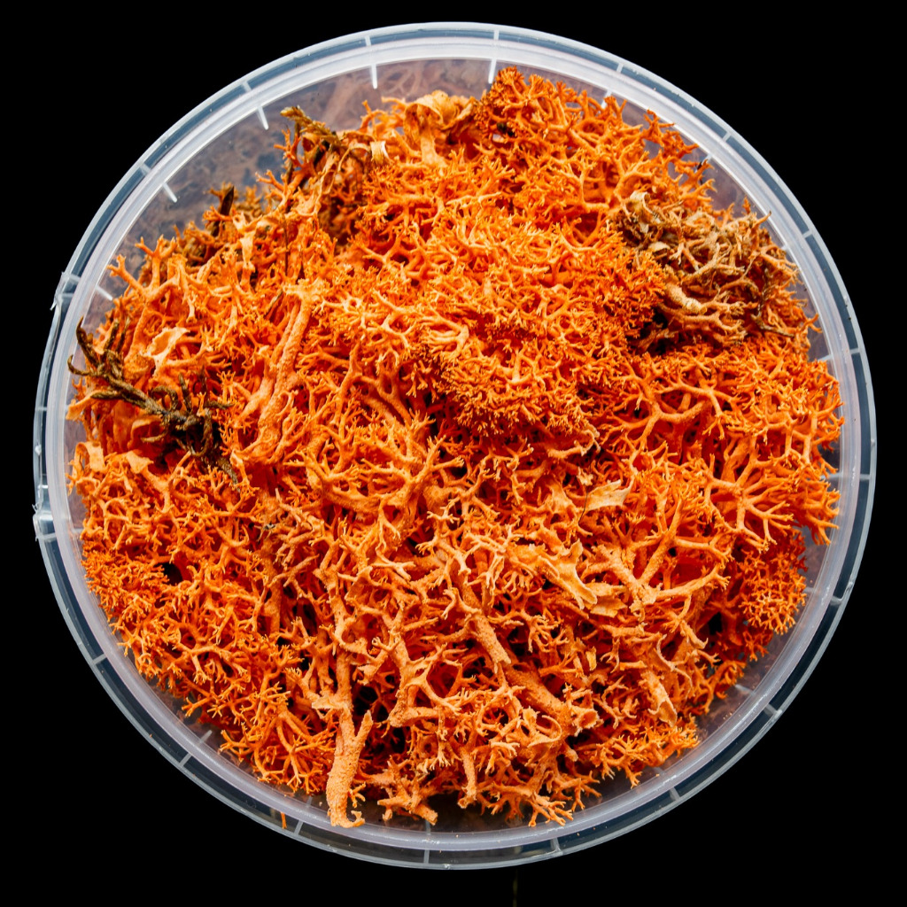 Blazing Hedge Basing Material 1