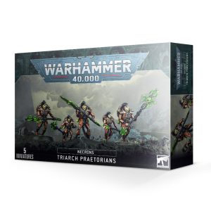Necrons: Triarch Praetorians / Lychguard 1