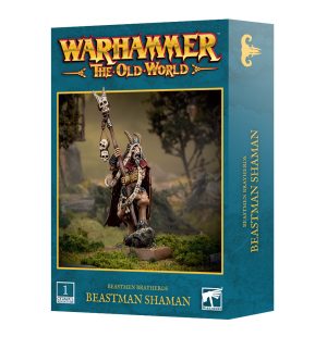 Beastmen Brayherds: Beastman Shaman 1
