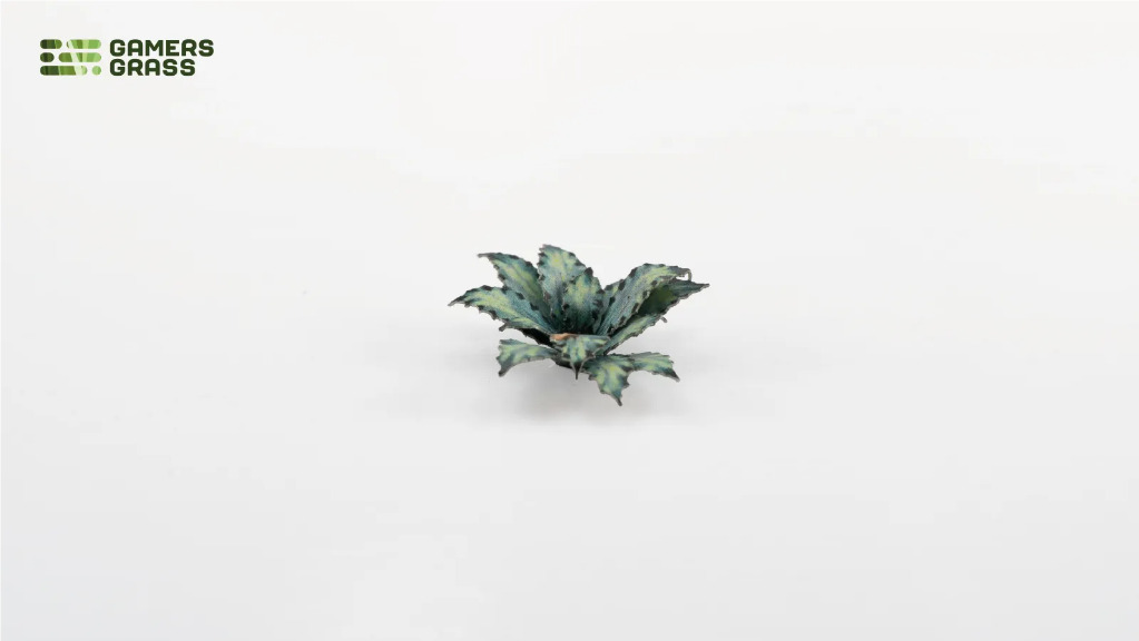 Laser Plants – Blue Agave 3
