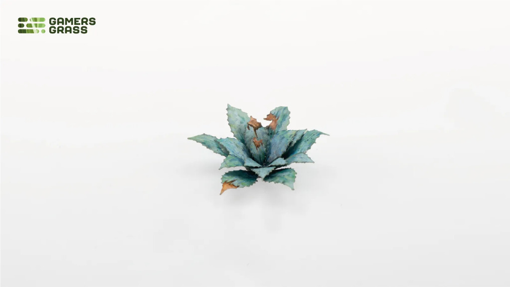 Laser Plants – Blue Agave 4