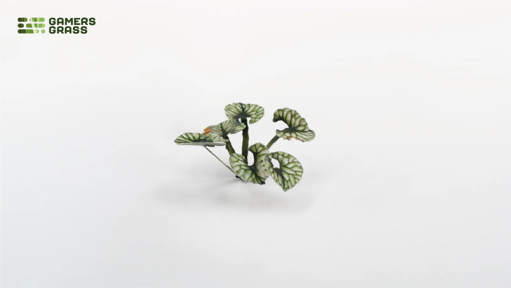 Laser Plants – Bugloss 4