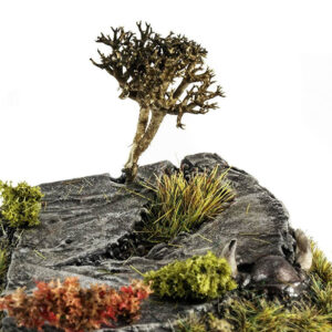 Scenic Bases