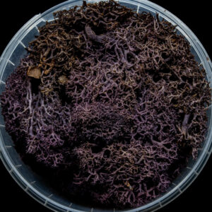 Lilac Hedge Basing Material 1