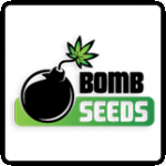 Bomb Seeds Cannabis Seeds