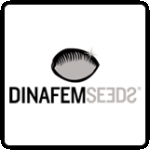 Dinafem Seeds