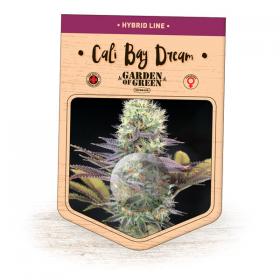 Cali Bay Dream Feminised Seeds Cali Bay Dream Feminised Seeds