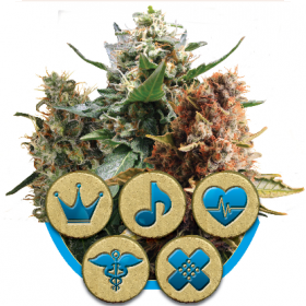 Mix CBD Feminised Seeds Mix CBD Feminised Seeds