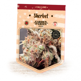 Sherbet Feminised Seeds Sherbet Feminised Seeds