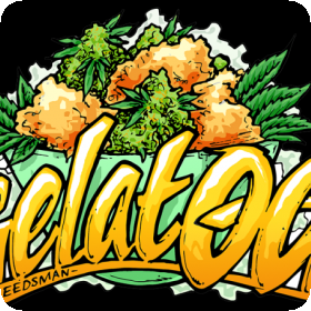 Gelat.OG Feminised Seeds Gelat.OG Feminised Seeds