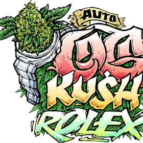 OG Kush Auto Feminised Seeds OG Kush Auto Feminised Seeds