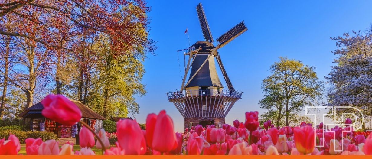Netherlands proposes legal framework for electronic bills of lading, industry experts respond