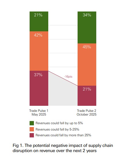 The potential negative impact of supply chain disruption on revenue over the next 2 years