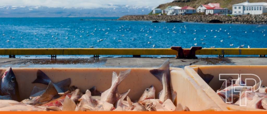 WTO Fisheries Agreement takes effect