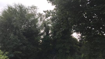 crown reduction rothwell leeds