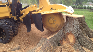 stump grinding horsforth leeds