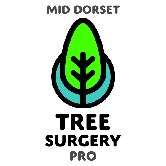 Mid Dorset Tree Surgery Pro