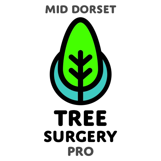 Mid Dorset Tree Surgery Pro Tree Services