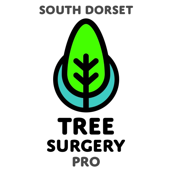 South Dorset Tree Surgery Pro