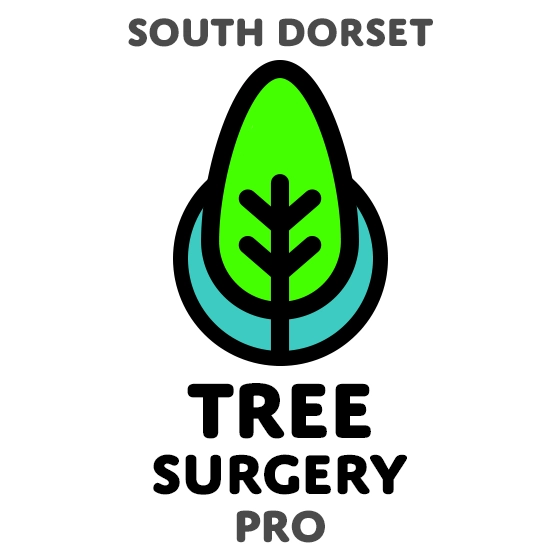 South Dorset Tree Surgery Pro Tree Services