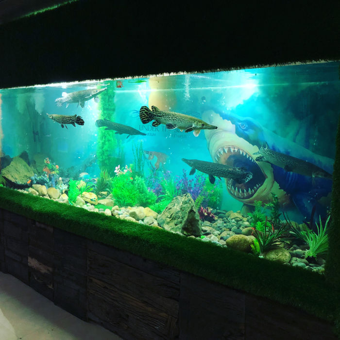 Sagar aquarium store