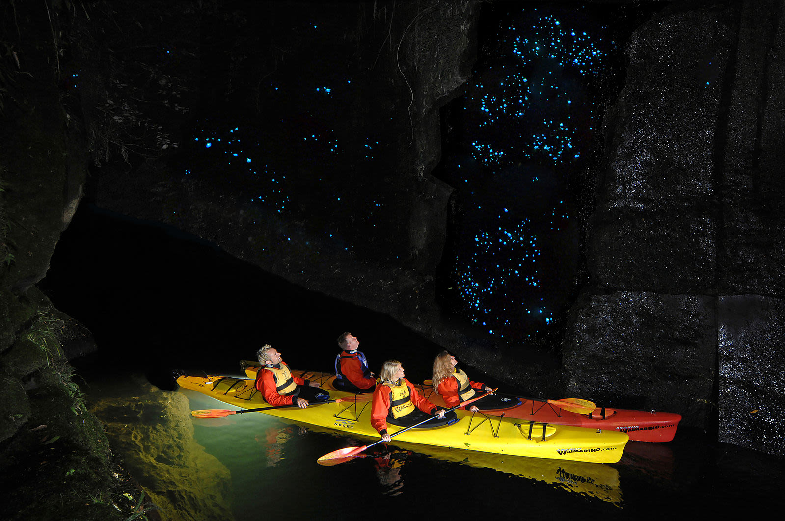 waitomo caves tour from auckland