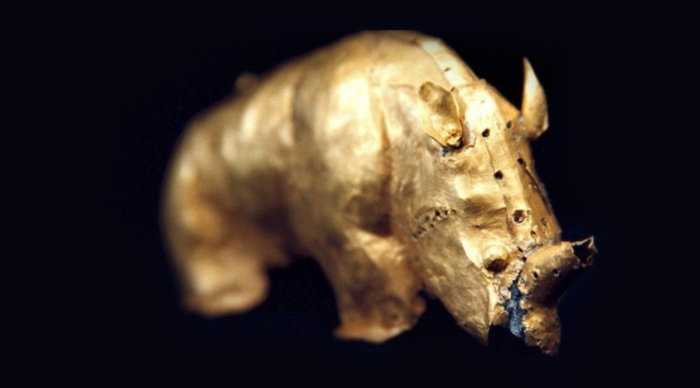 https://s3.eu-west-2.amazonaws.com/tshwane2018/Mapungubwe_rhino_photo_by_UP.jpg