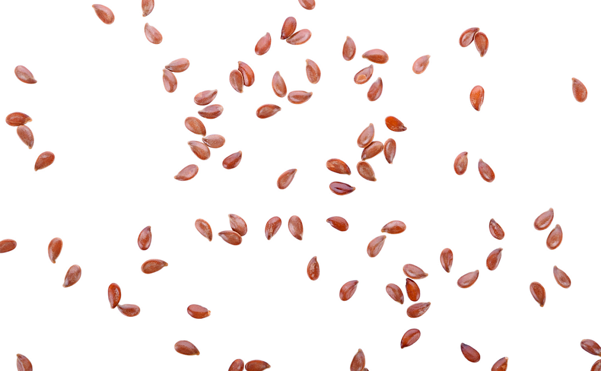 CZ article seeds