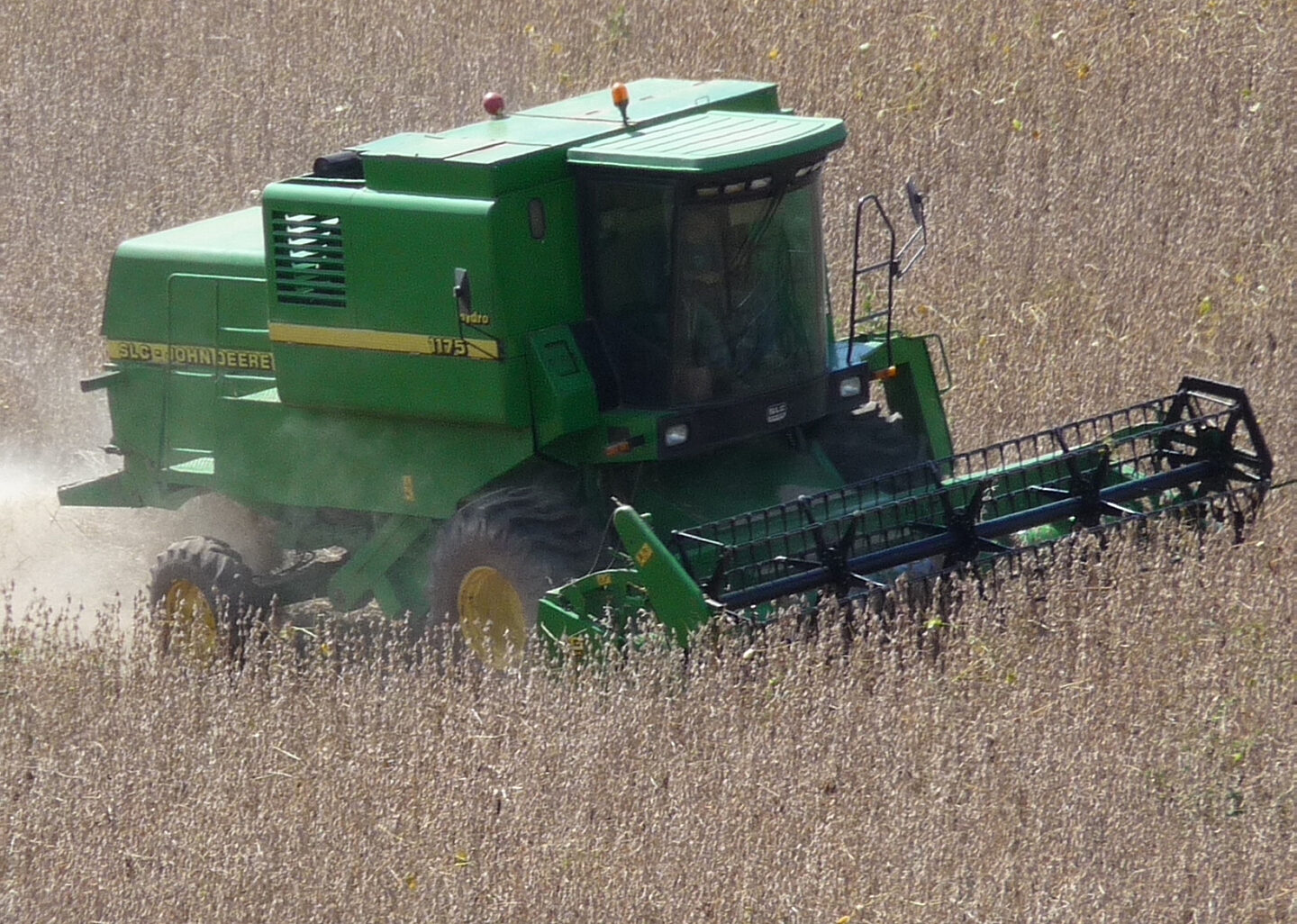 Soybean field being harvested by combine