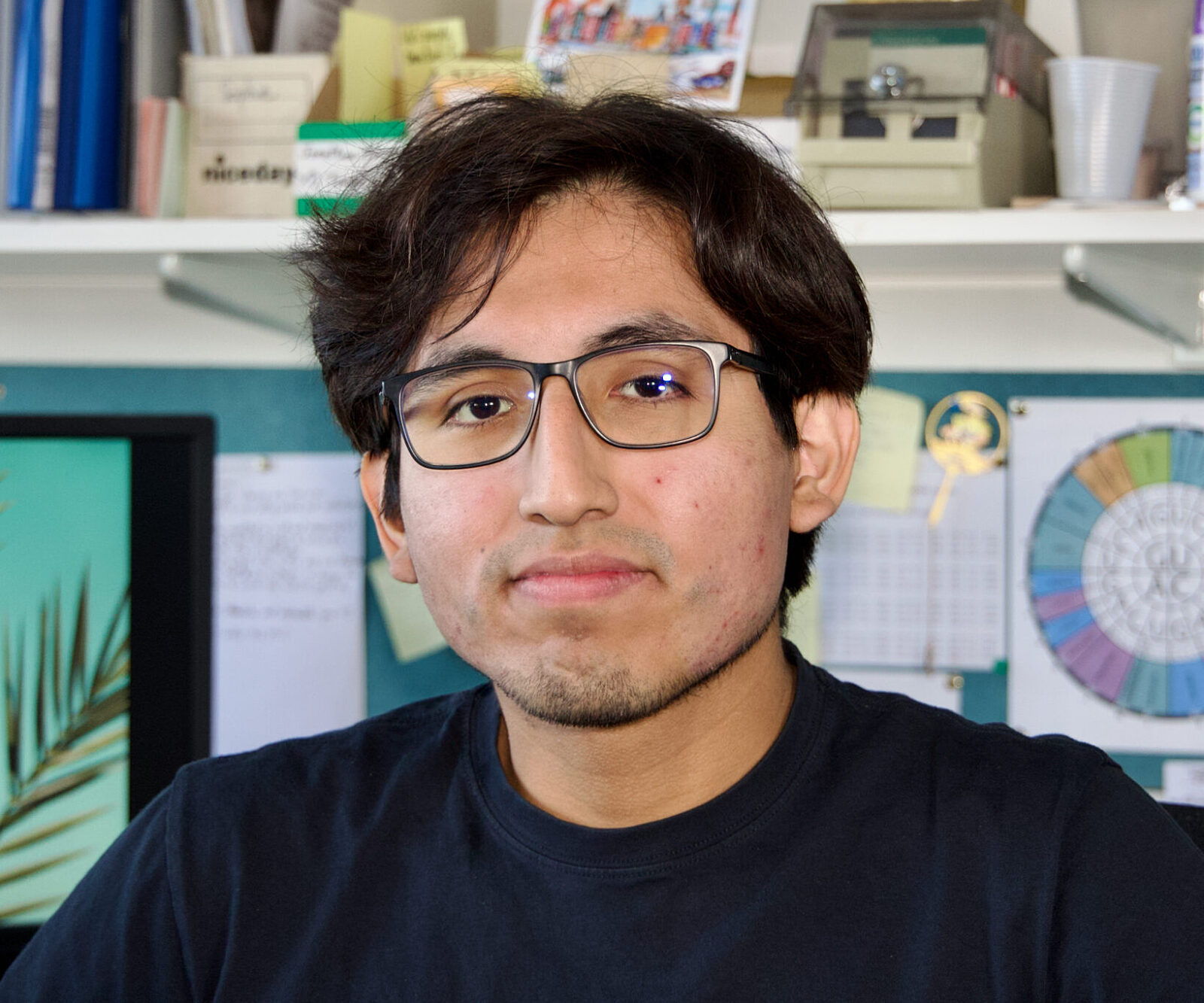 Renzo Villena Gaspar