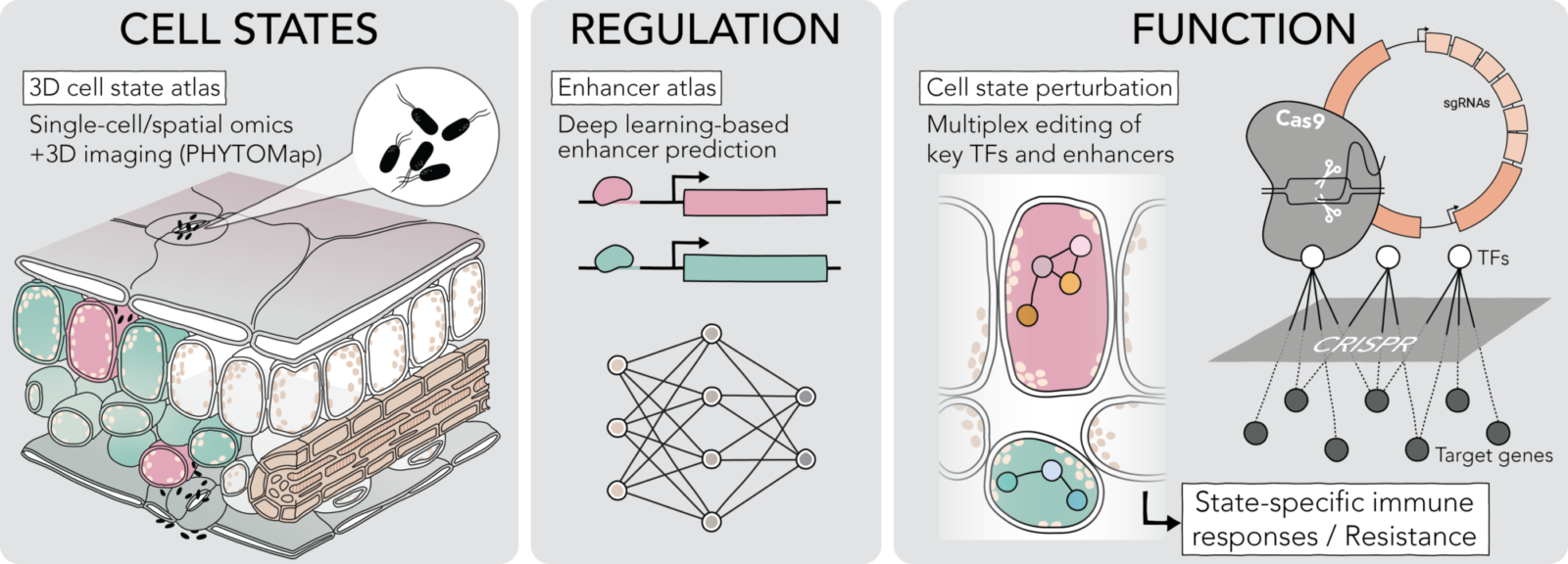 Three-way strategy of Tatsuya Nobori's ERC project