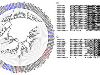 Figure from Furzer et al (2021)