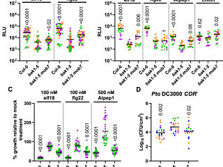 Figure from George et al (2023)