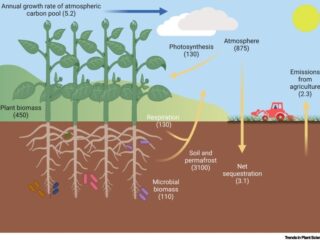 Figure from Hirt et al (2023)