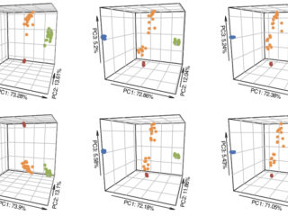 Figure from Latorre et al (2022)