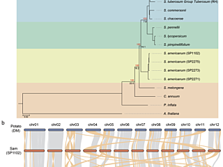 Figure from Lin et al (2022)