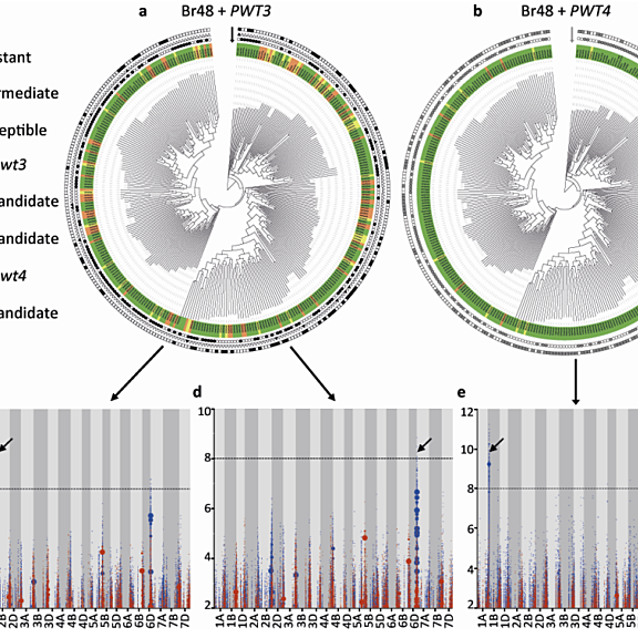 Figure from Arora et al (2022)