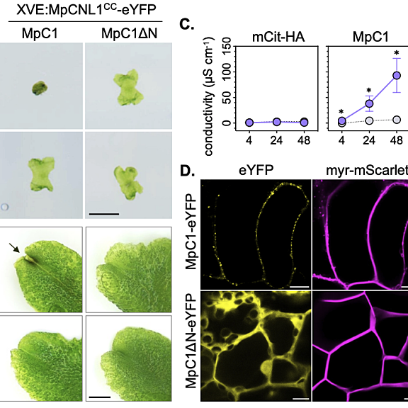 Figure from Chia et al (2022)