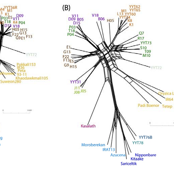 Figure from Gladieux et al (2022)