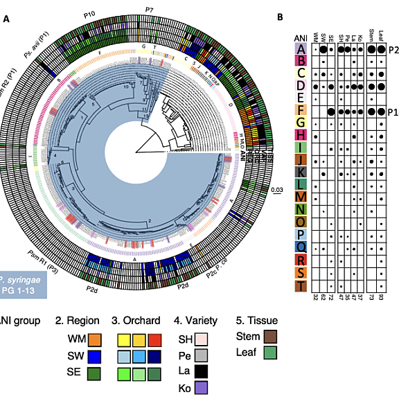 Figure from Hulin et al (2022)